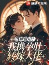 借种留后?我携孕肚转嫁大佬
