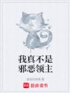 我真不是邪恶领主